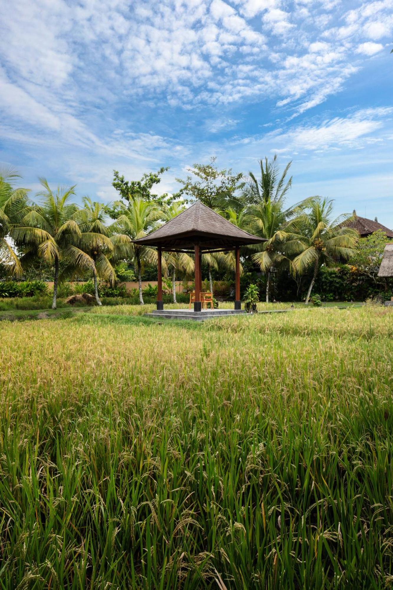 Svarga Bebek Villas Ubud Exterior foto